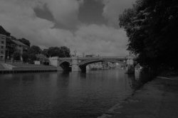 Dark Orange Solid Filter 1/800s Greyscale
