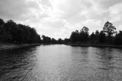 Pink Gradient (Positioned Full Frame) 1/800s Greyscale