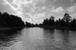 Green Gradient (Positioned Half Frame) 1/1000s Greyscale