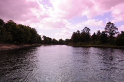 Pink Gradient (Positioned Full Frame) 1/800s Original